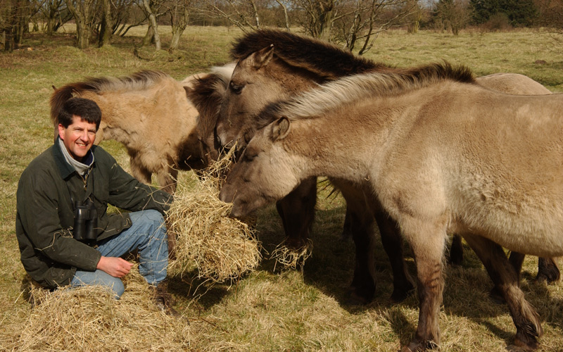 Die ersten Koniks im Schäferhaus, 2002 Die ersten Koniks im Schäferhaus, 2002